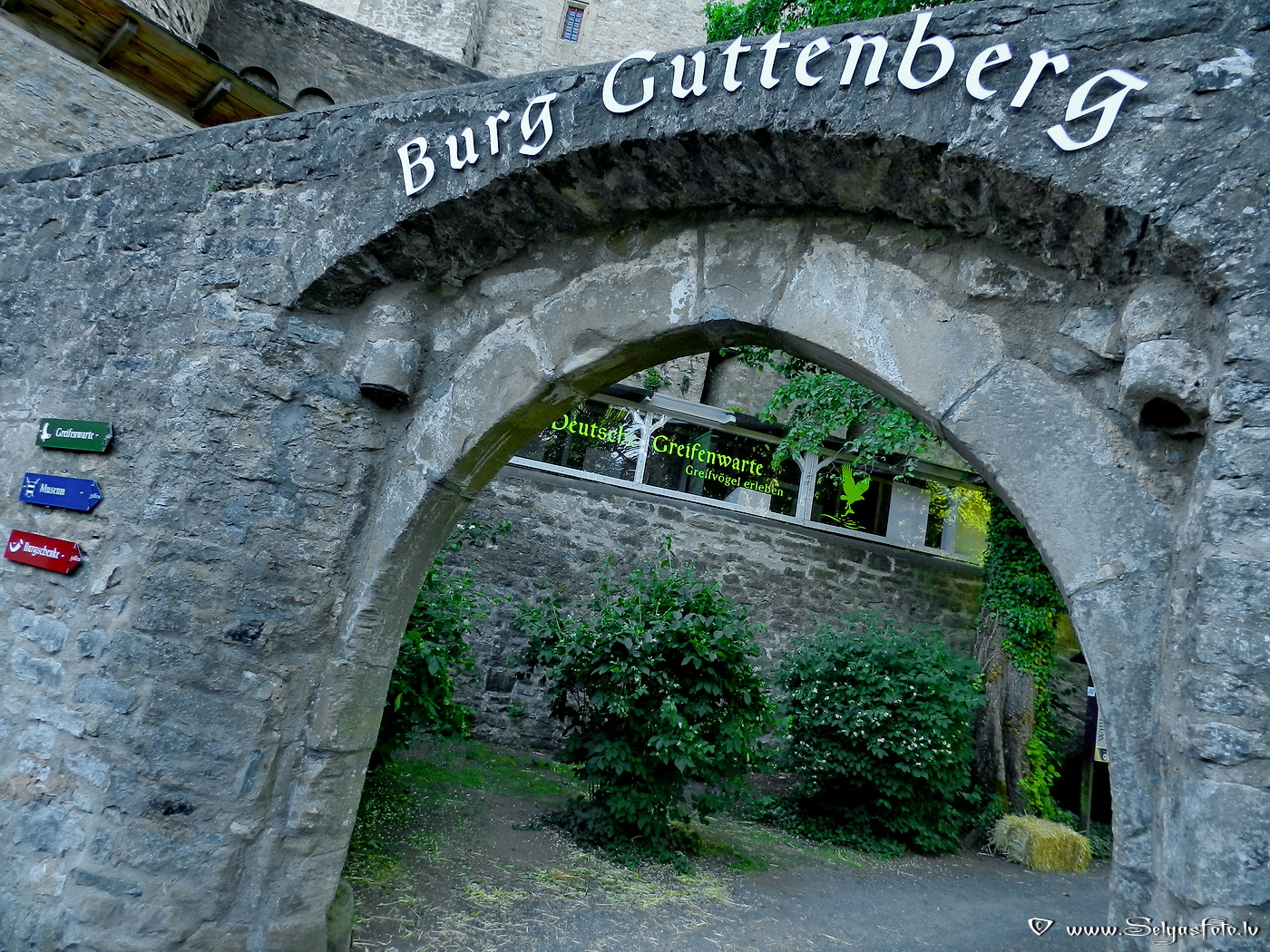 Burg Guttenberg. Deutschland.