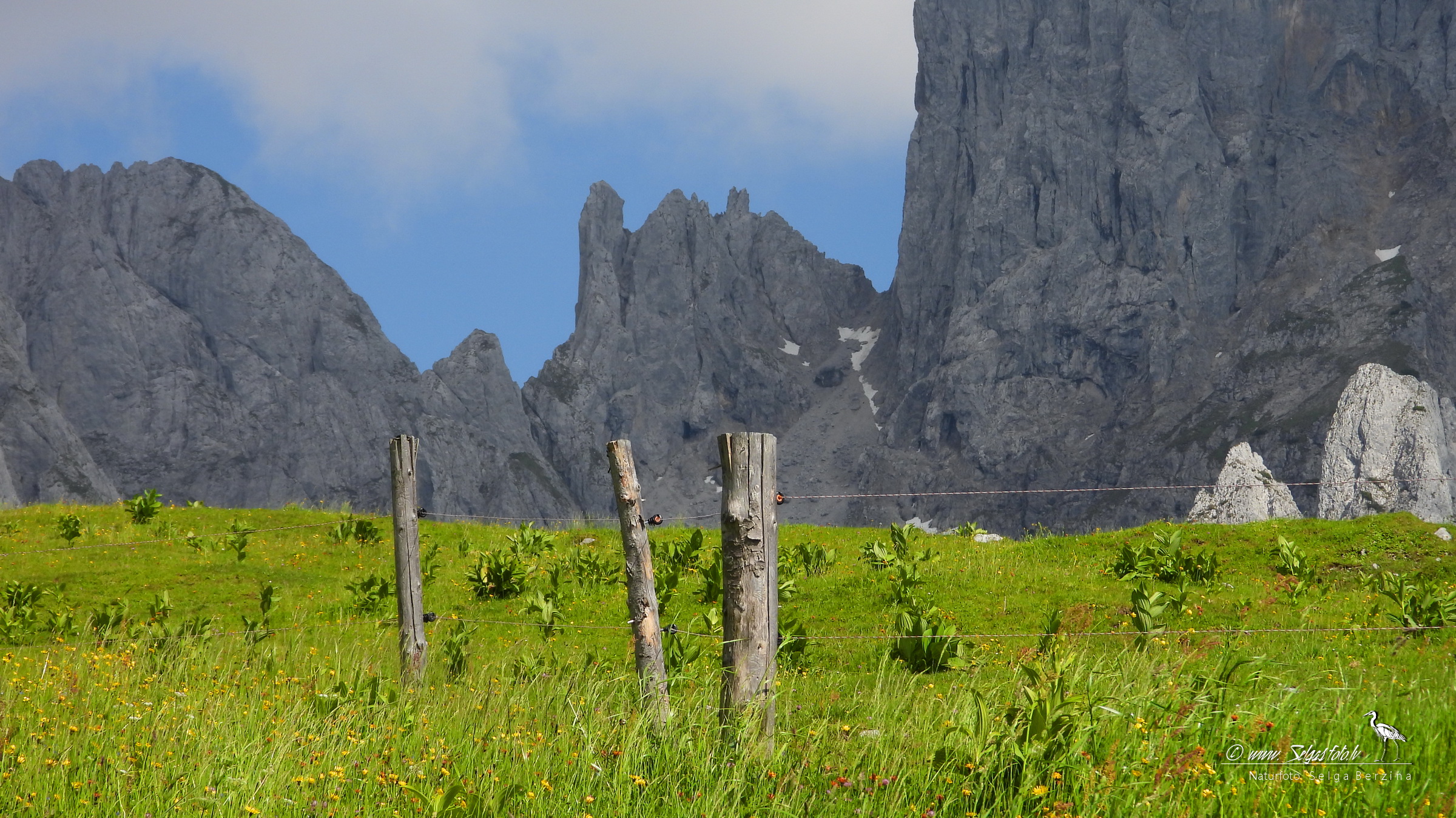 ALPU KALNI. Bischofsmütze. 