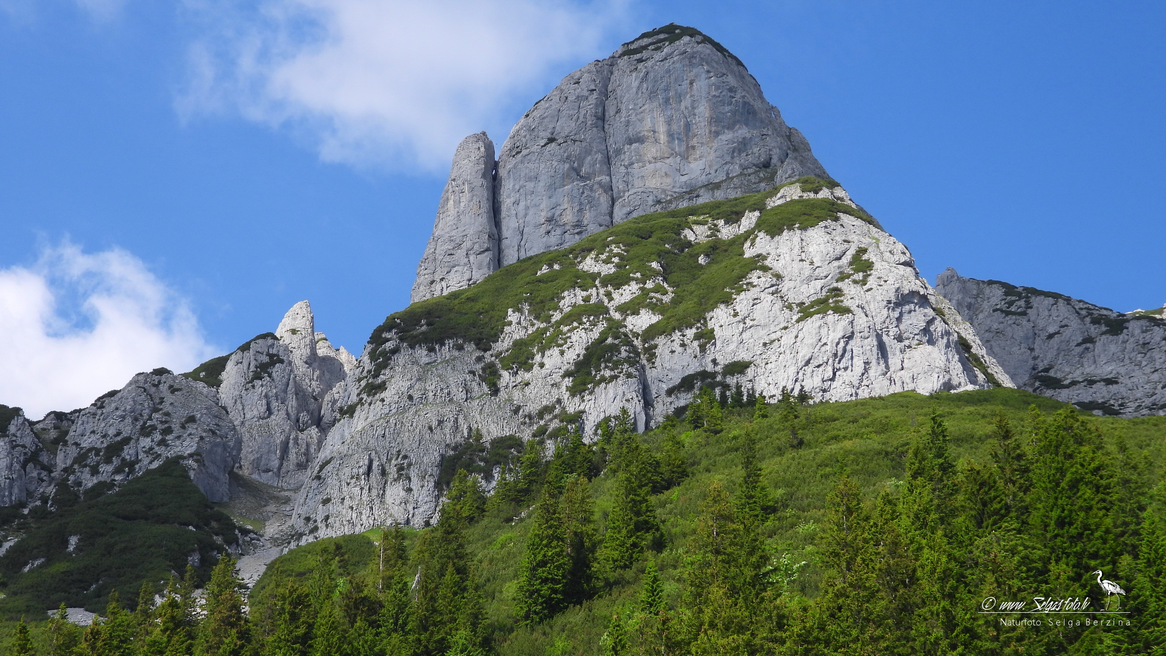 ALPU KALNI. Bischofsmütze. 