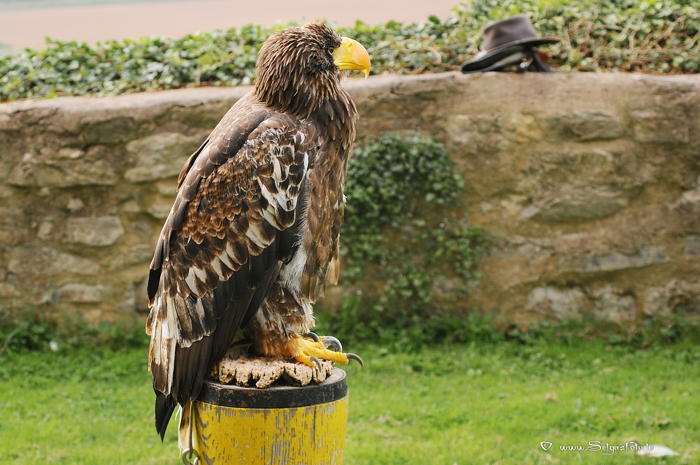 Burg Guttenberg. Deutschland. Burg Guttenberg. Deutschland.