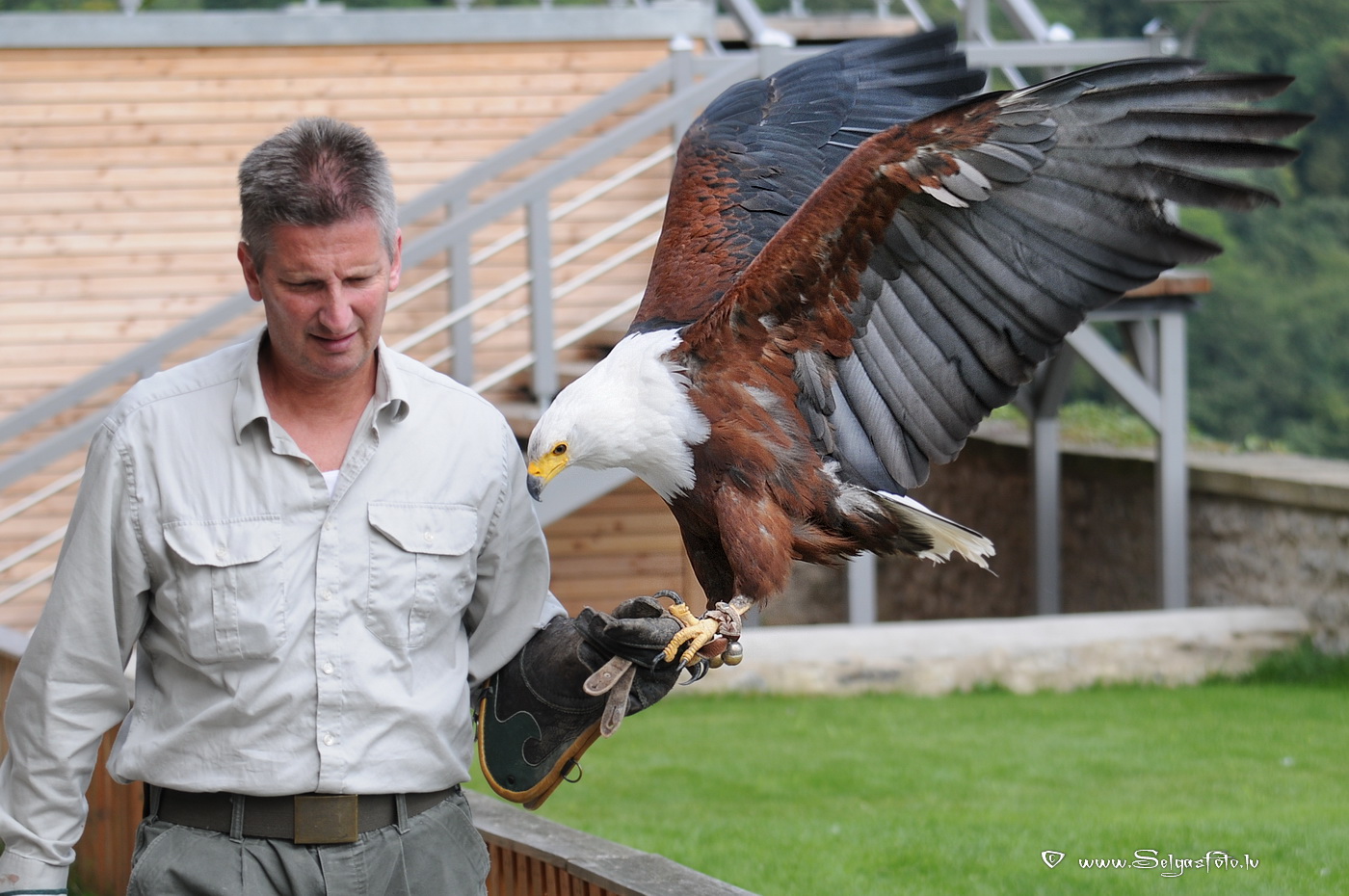 Burg Guttenberg. Deutschland. Burg Guttenberg. Deutschland.