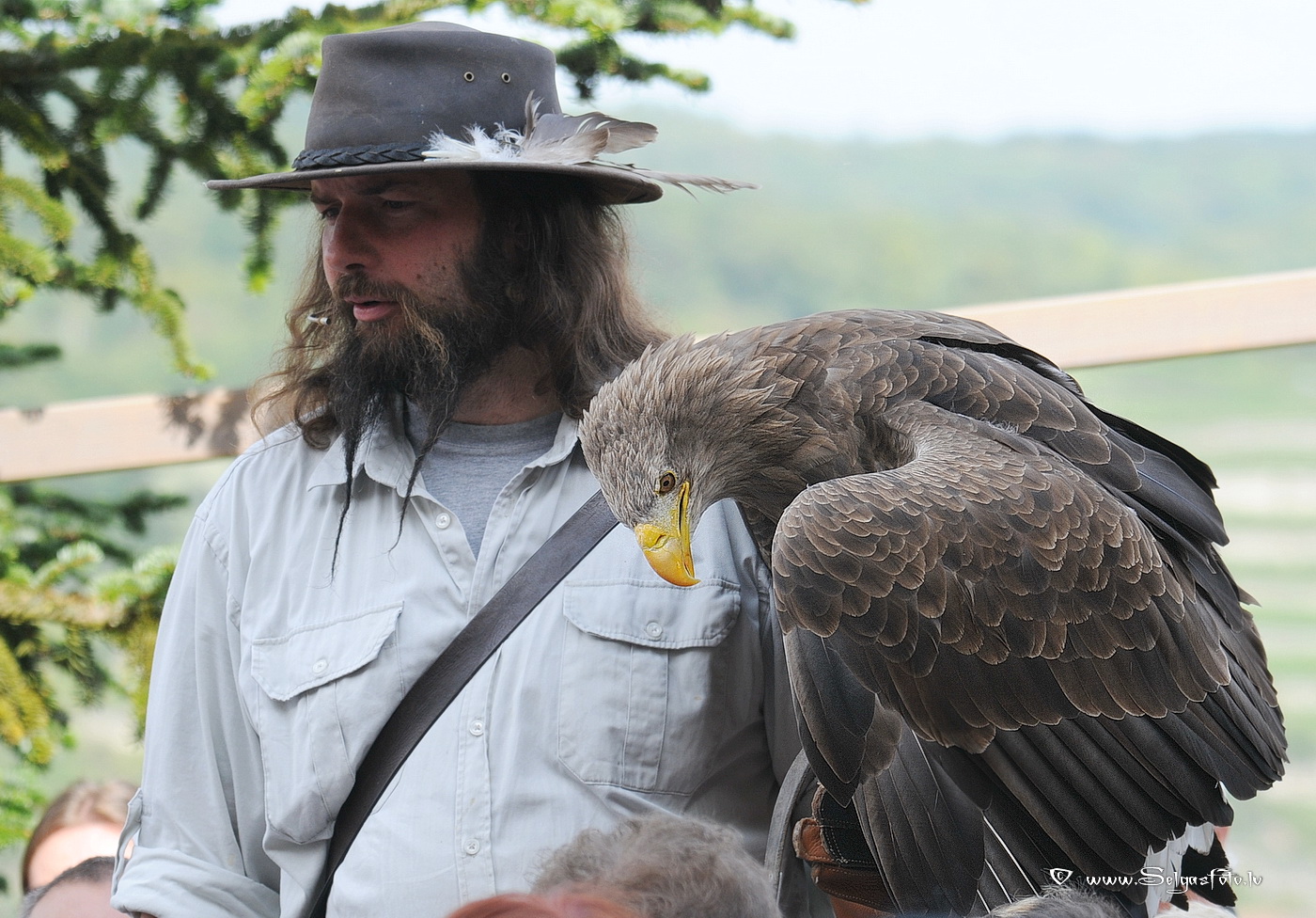 Burg Guttenberg. Deutschland.