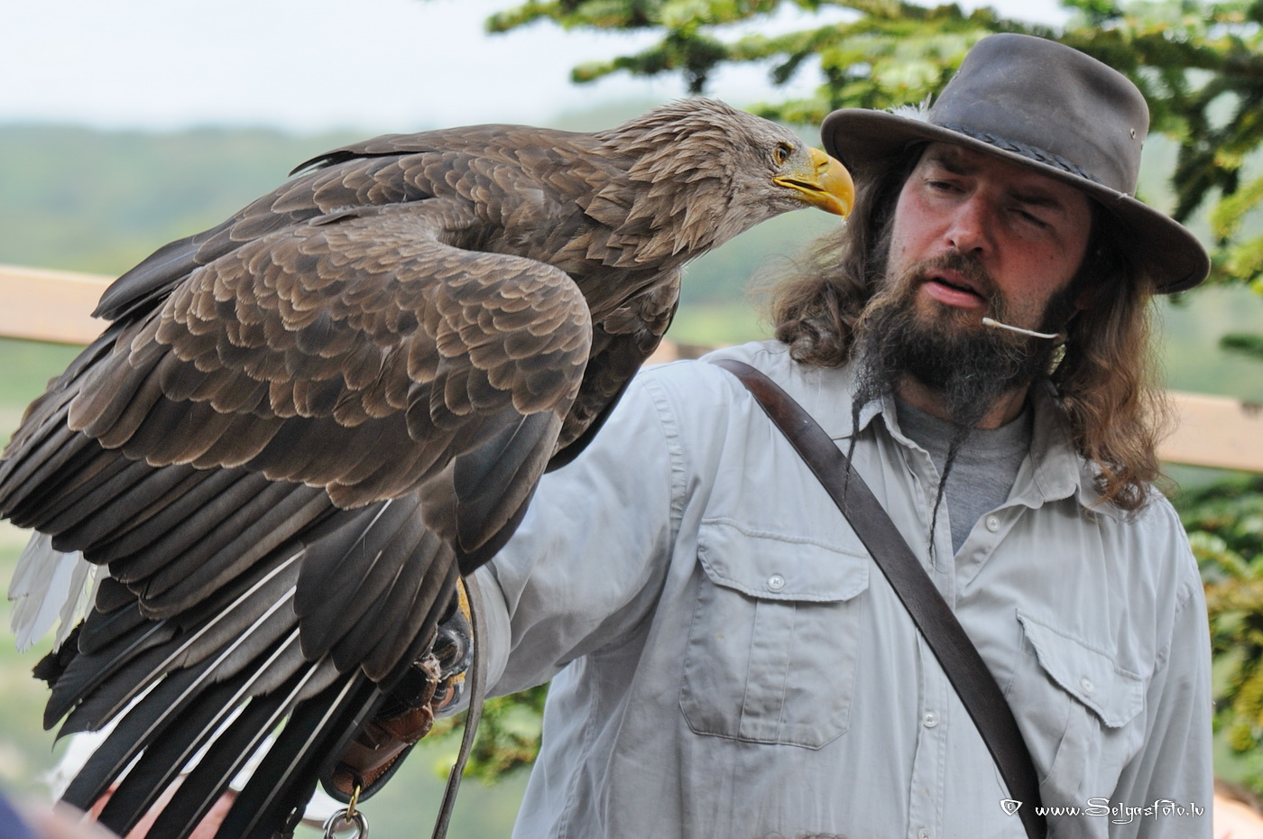 Burg Guttenberg. Deutschland. Burg Guttenberg. Deutschland.