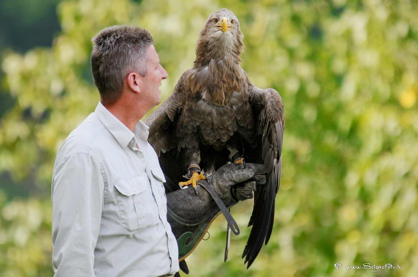 Burg Guttenberg. Deutschland.