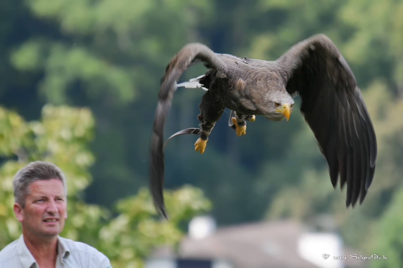 Burg Guttenberg. Deutschland.