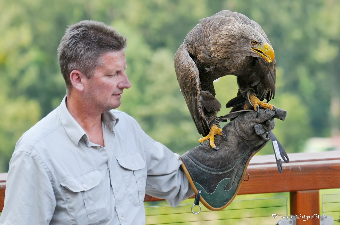 Burg Guttenberg. Deutschland.