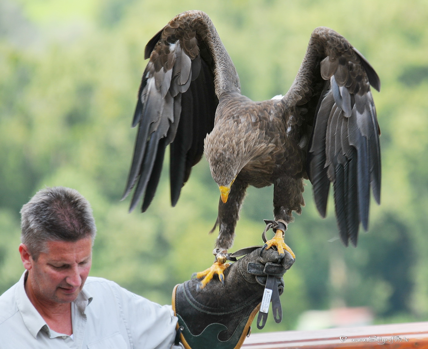 Burg Guttenberg. Deutschland. Burg Guttenberg. Deutschland.