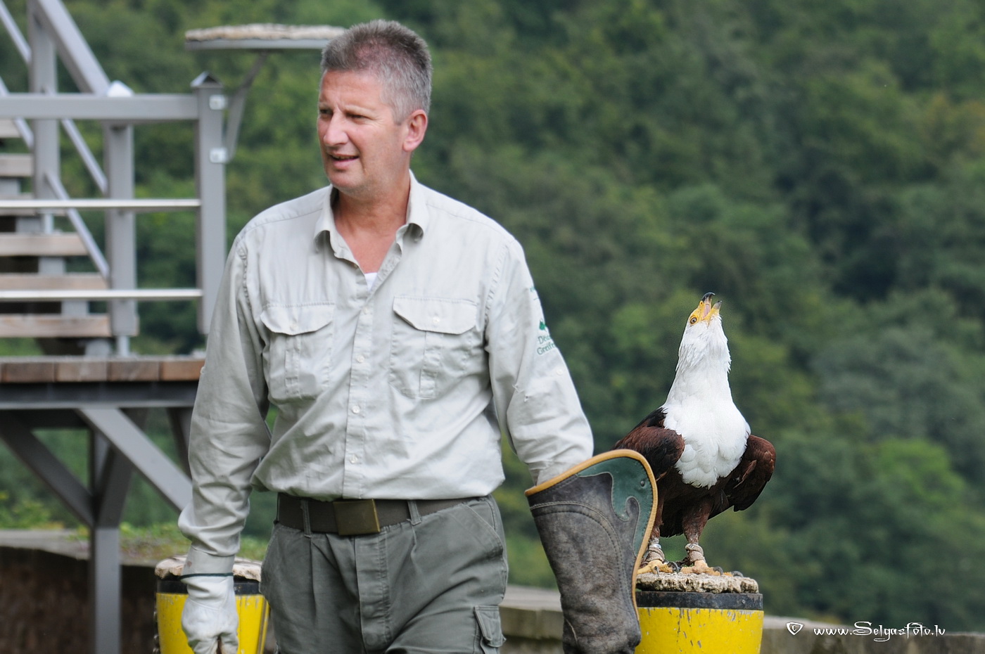 Burg Guttenberg. Deutschland. Burg Guttenberg. Deutschland.