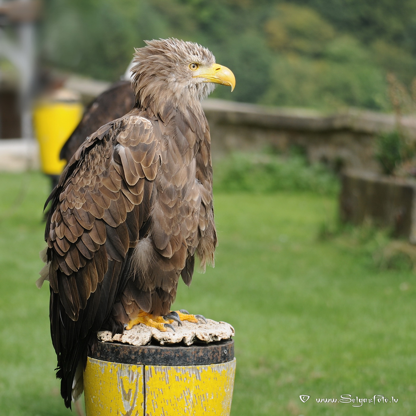 Burg Guttenberg. Deutschland. Burg Guttenberg. Deutschland.