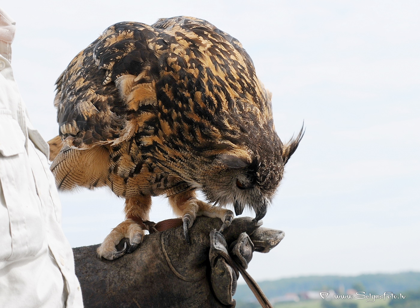 Burg Guttenberg. Deutschland. Burg Guttenberg. Deutschland.