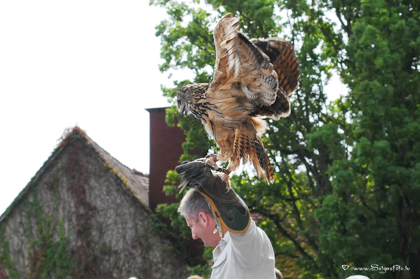 Burg Guttenberg. Deutschland.