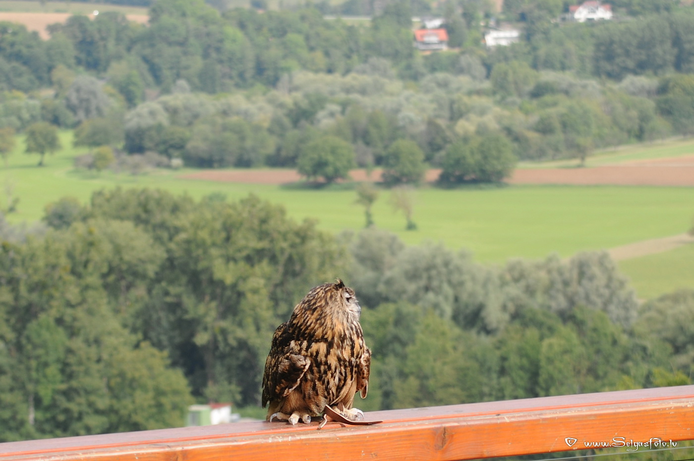 Burg Guttenberg. Deutschland. Burg Guttenberg. Deutschland.