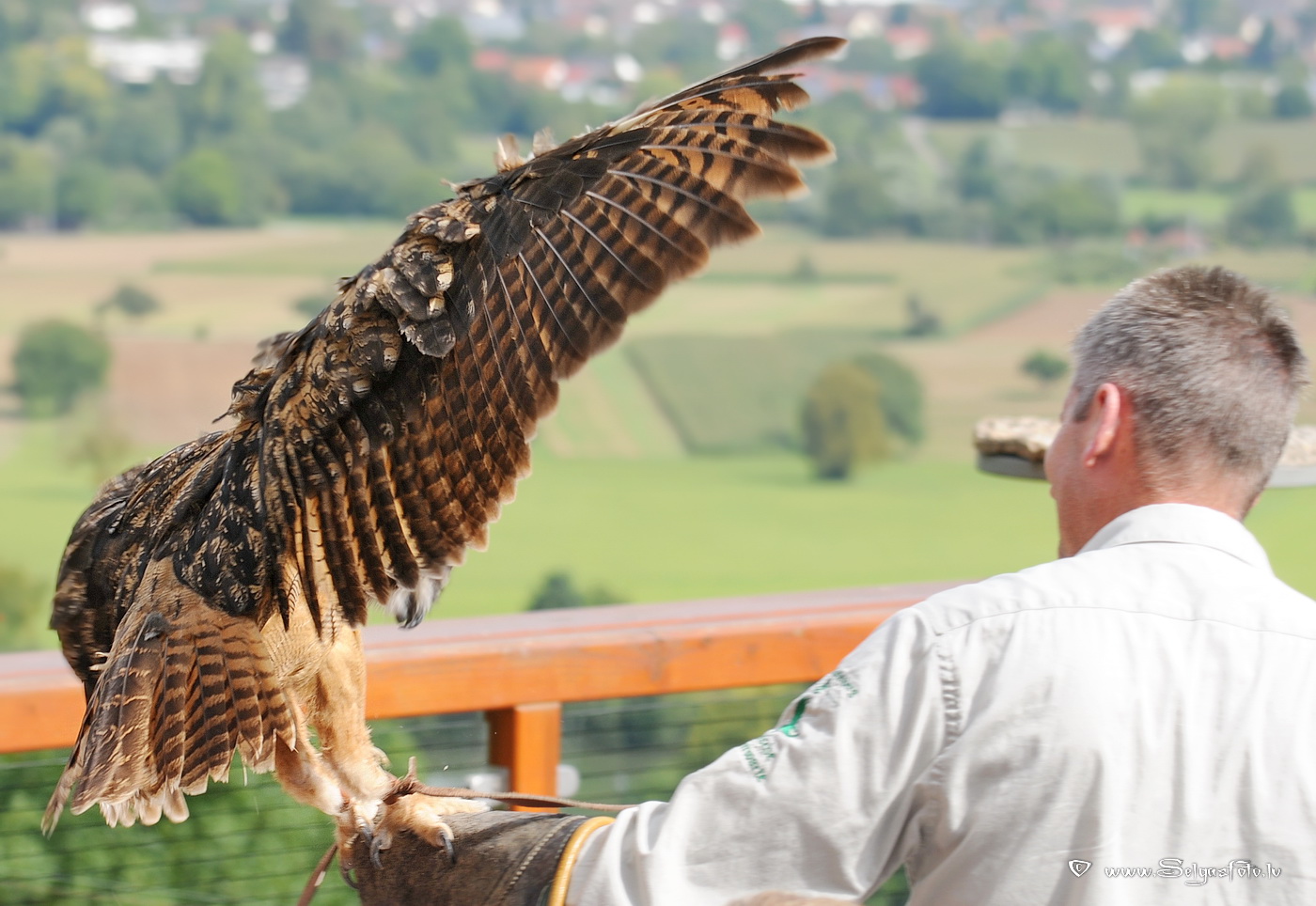 Burg Guttenberg. Deutschland. Burg Guttenberg. Deutschland.
