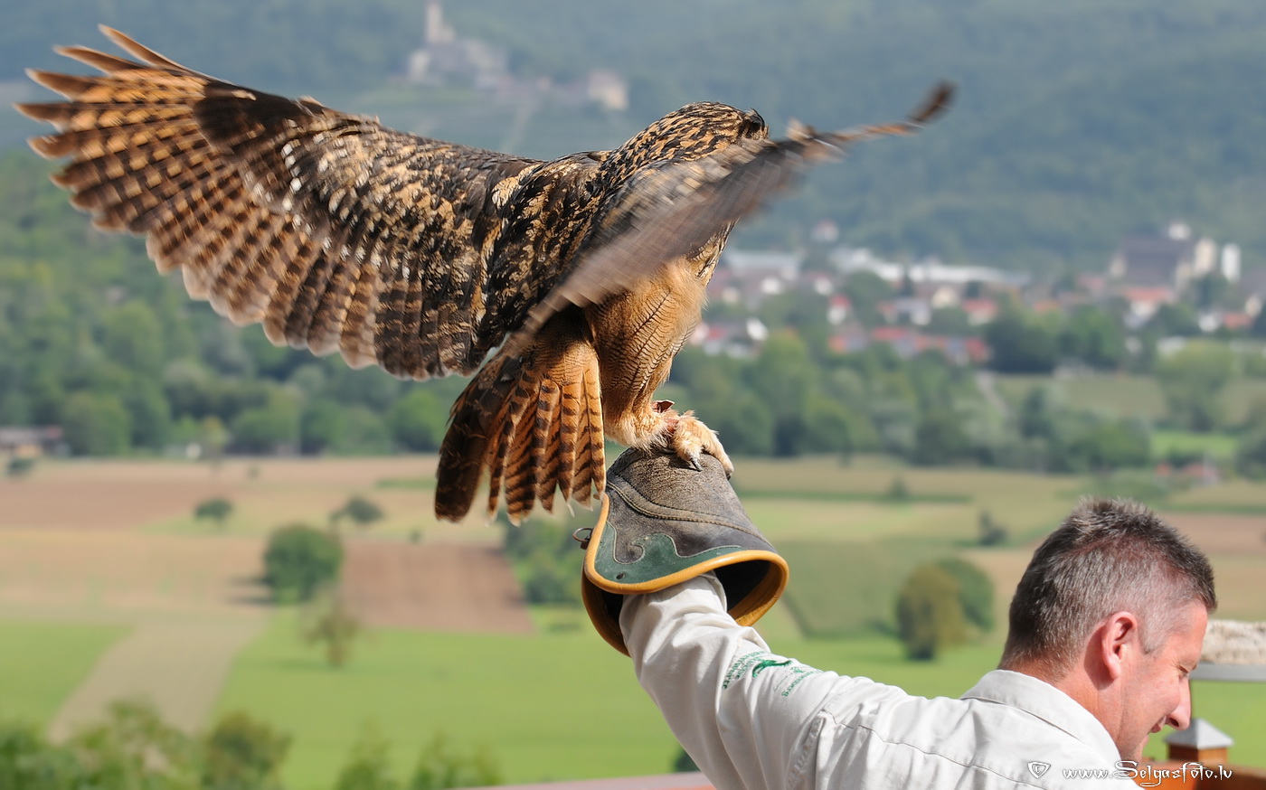 Burg Guttenberg. Deutschland. Burg Guttenberg. Deutschland.