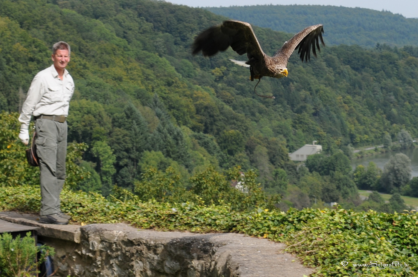 Burg Guttenberg. Deutschland.