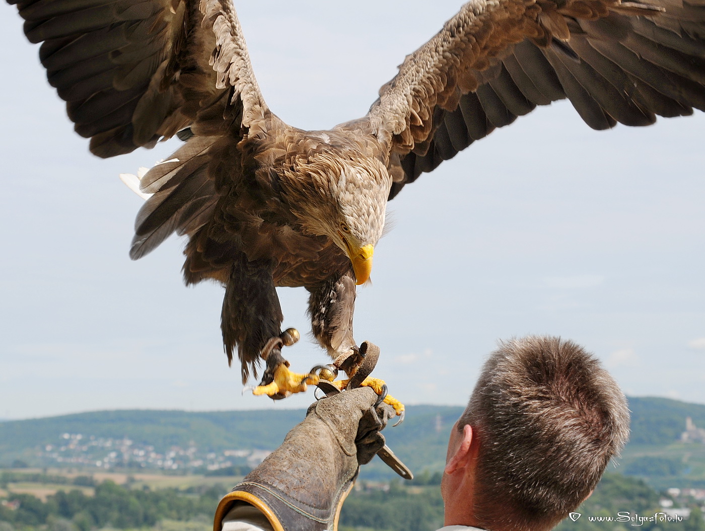 Burg Guttenberg. Deutschland. Burg Guttenberg. Deutschland.
