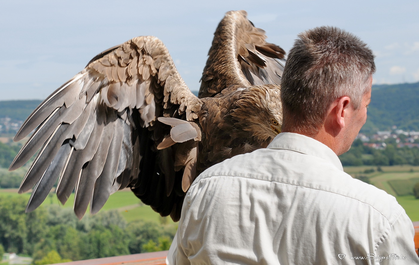 Burg Guttenberg. Deutschland. Burg Guttenberg. Deutschland.