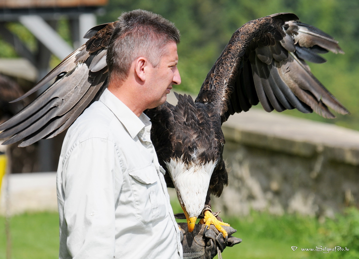 Burg Guttenberg. Deutschland.