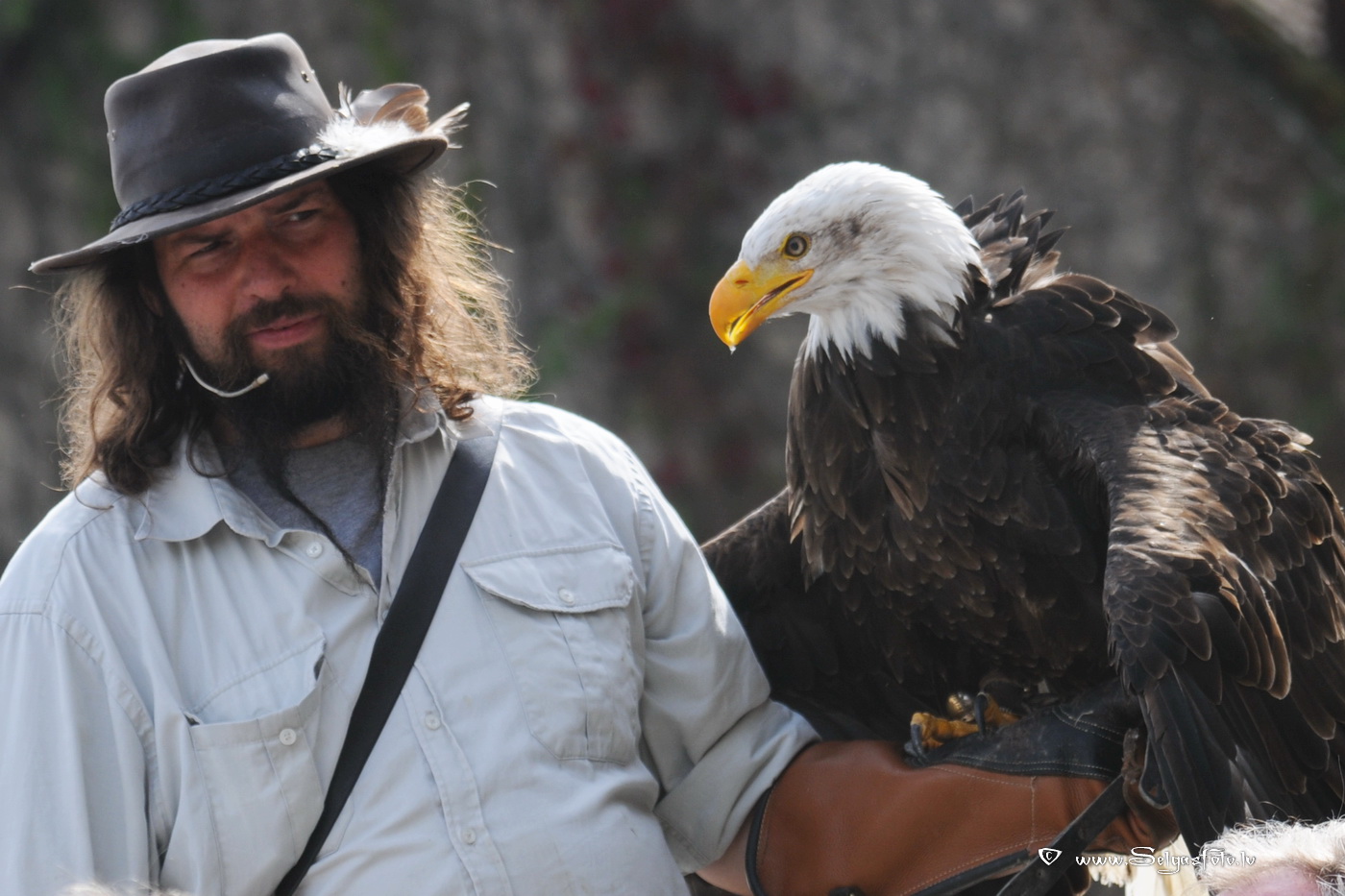 Burg Guttenberg. Deutschland.