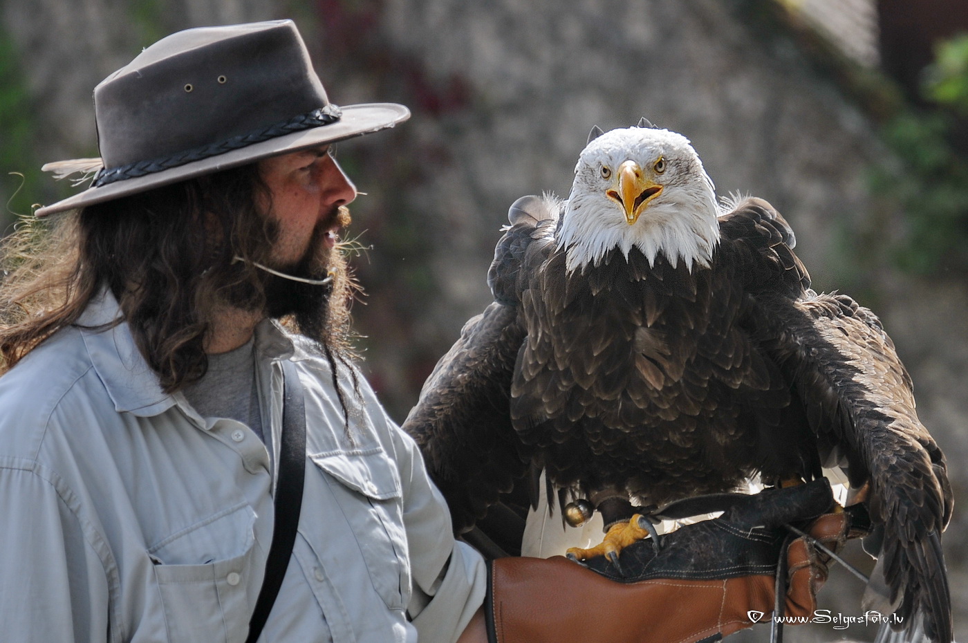Burg Guttenberg. Deutschland.