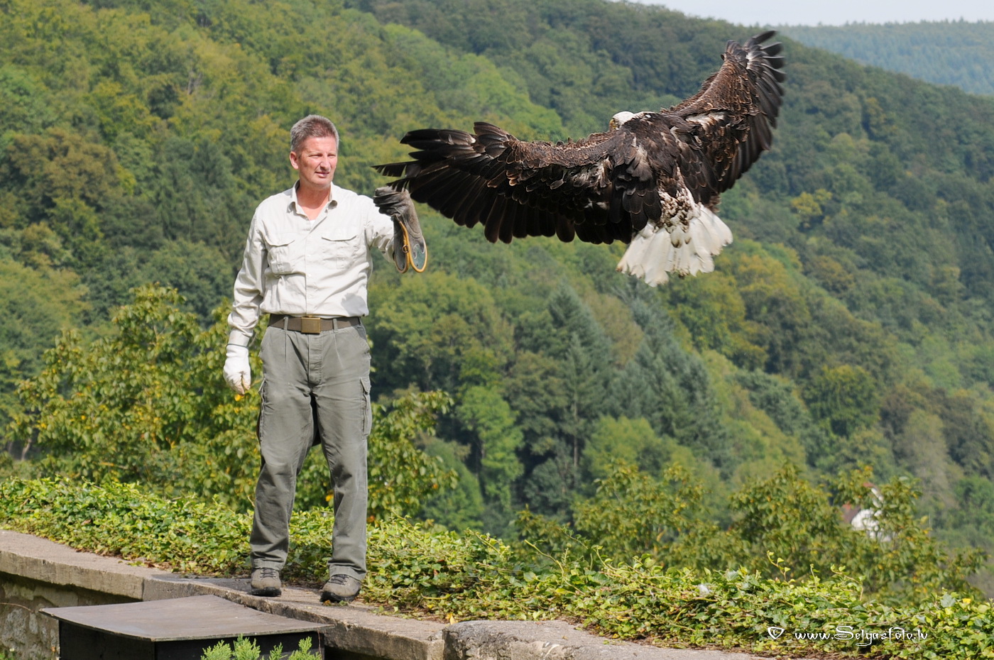 Burg Guttenberg. Deutschland. Burg Guttenberg. Deutschland.