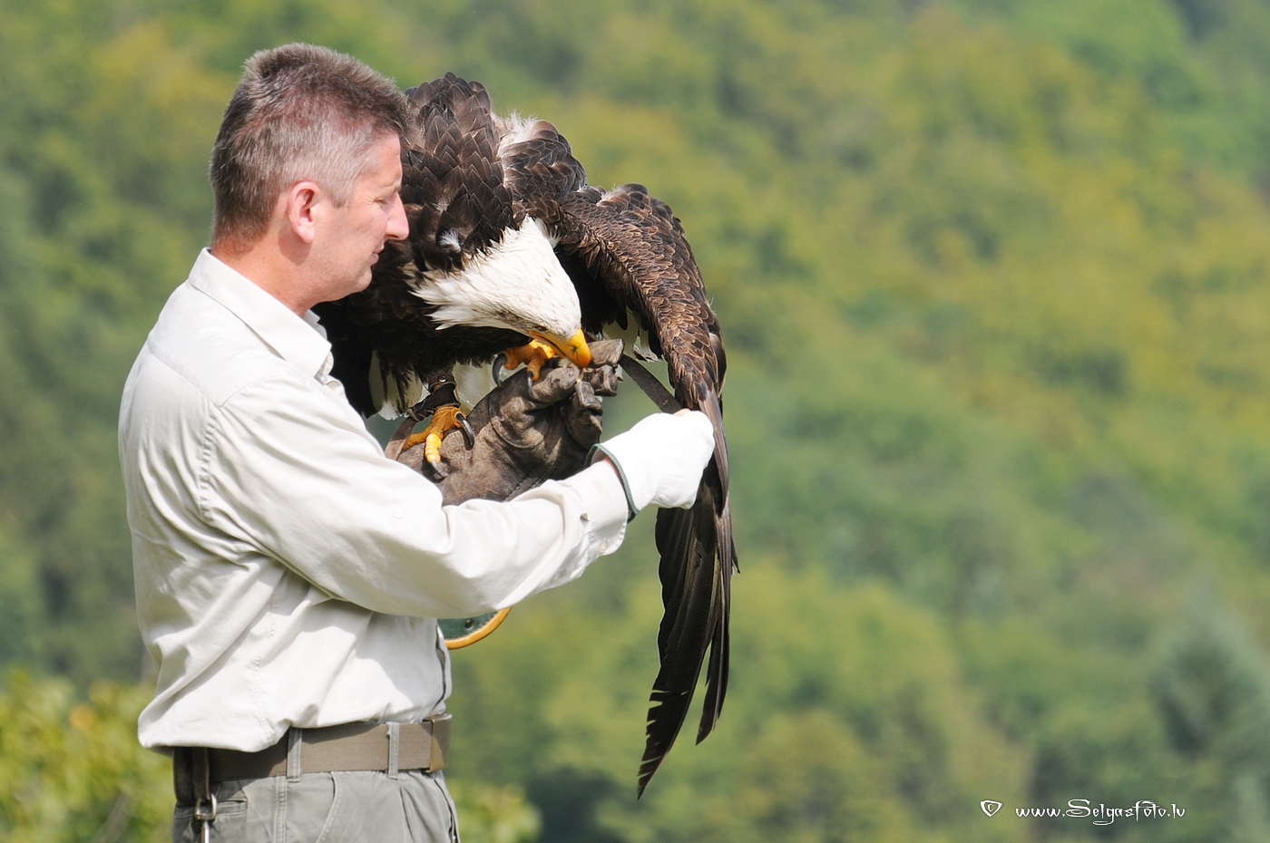 Burg Guttenberg. Deutschland.
