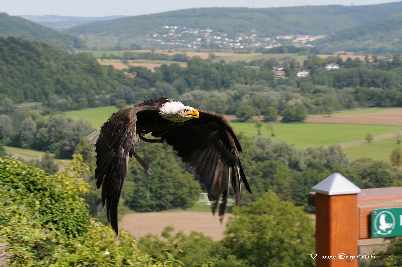 Burg Guttenberg. Deutschland.