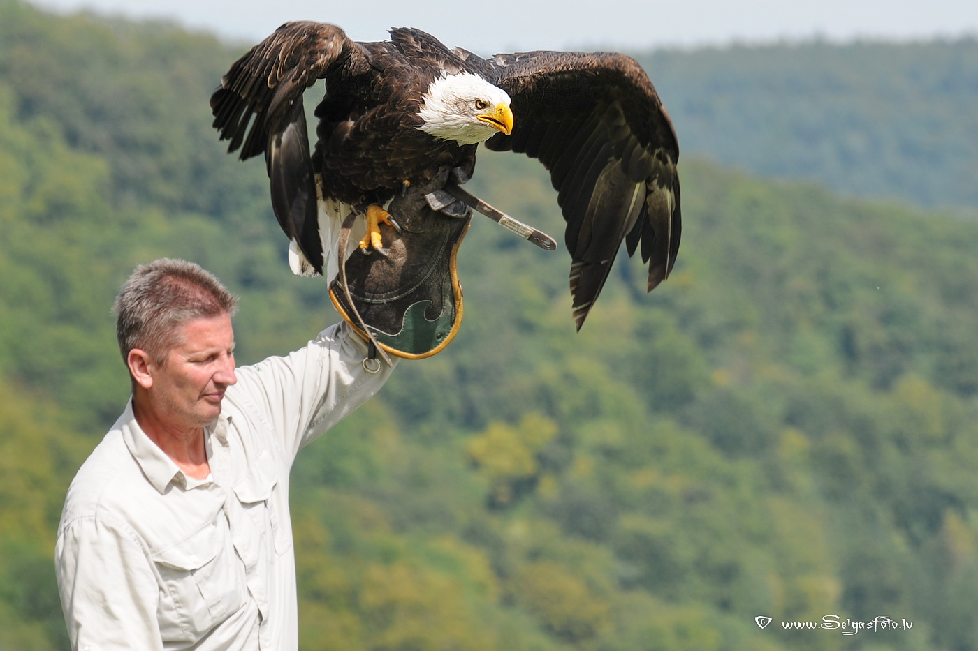 Burg Guttenberg. Deutschland. Burg Guttenberg. Deutschland.