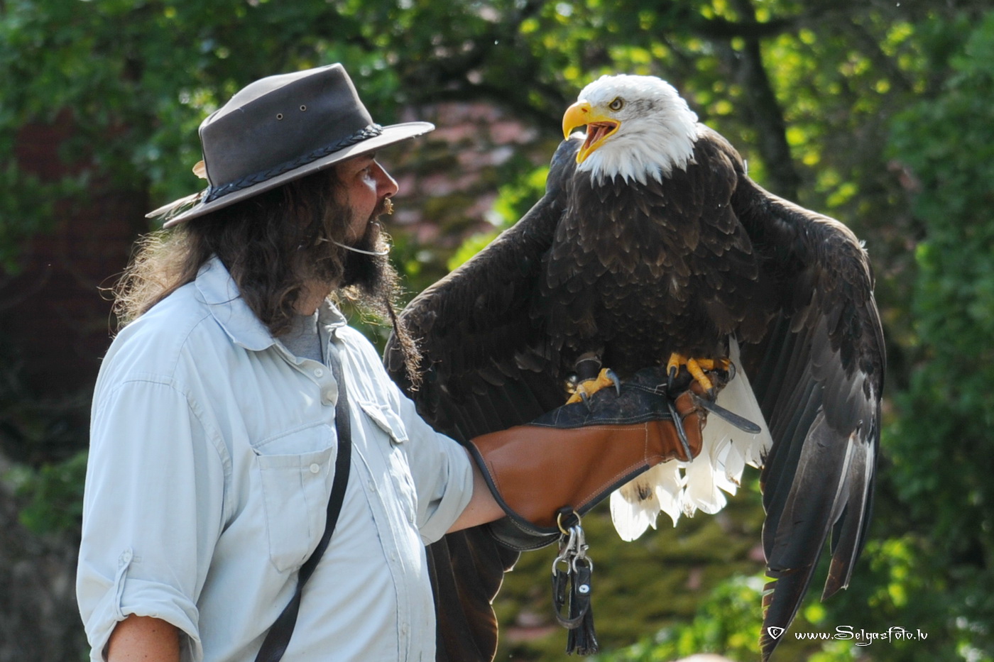 Burg Guttenberg. Deutschland. Burg Guttenberg. Deutschland.