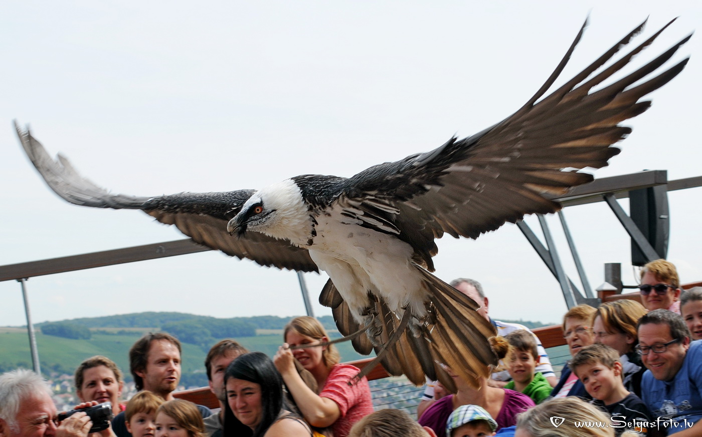 Burg Guttenberg. Deutschland.