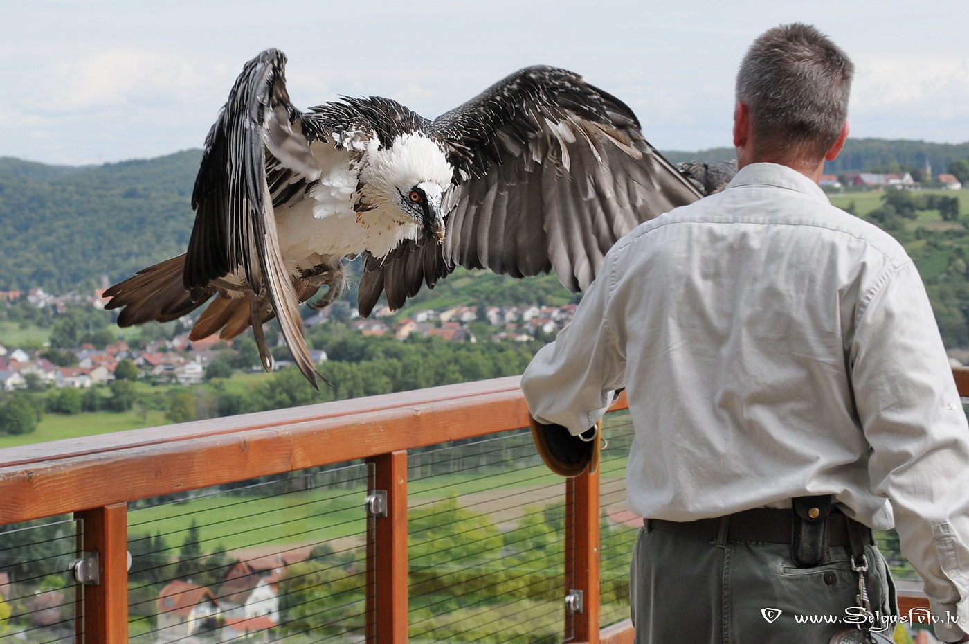 Burg Guttenberg. Deutschland. Burg Guttenberg. Deutschland.