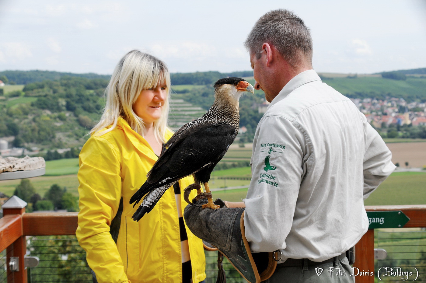 Burg Guttenberg. Deutschland.