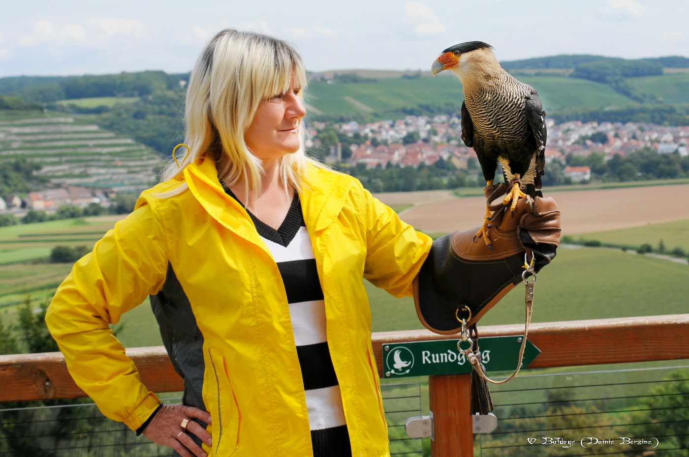 Burg Guttenberg. Deutschland.