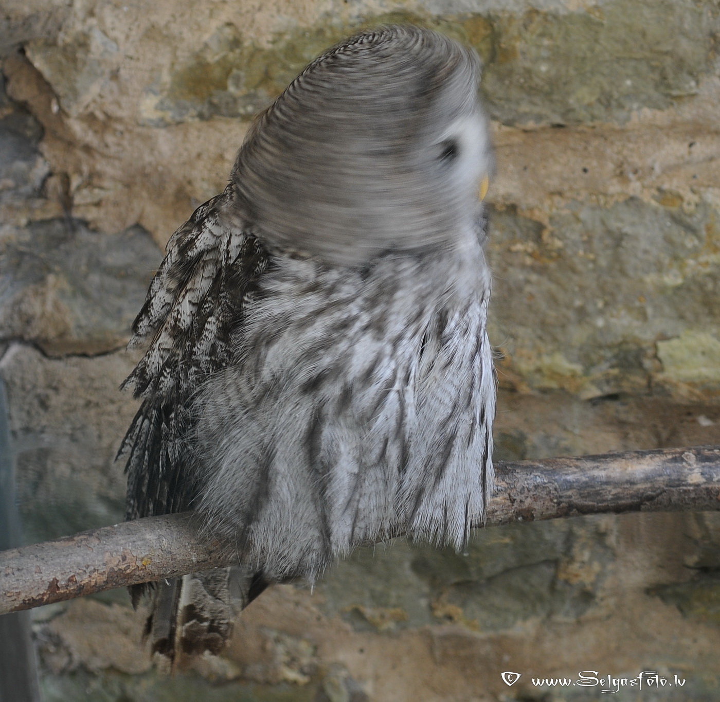 Burg Guttenberg. Deutschland. Burg Guttenberg. Deutschland.
