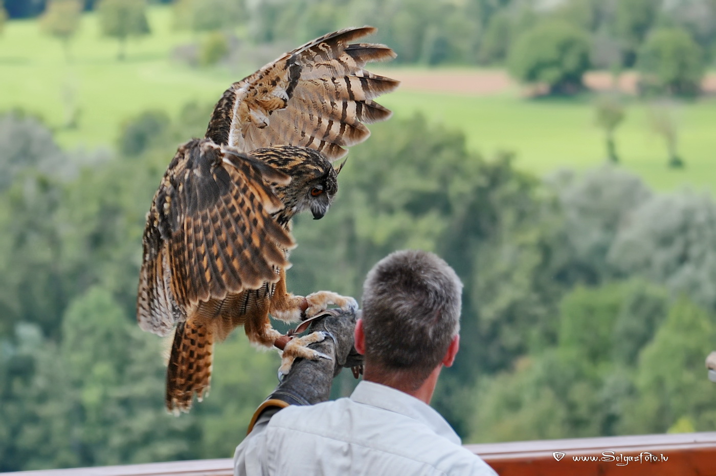 Burg Guttenberg. Deutschland. Burg Guttenberg. Deutschland.