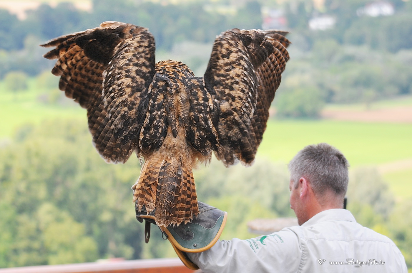 Burg Guttenberg. Deutschland. Burg Guttenberg. Deutschland.