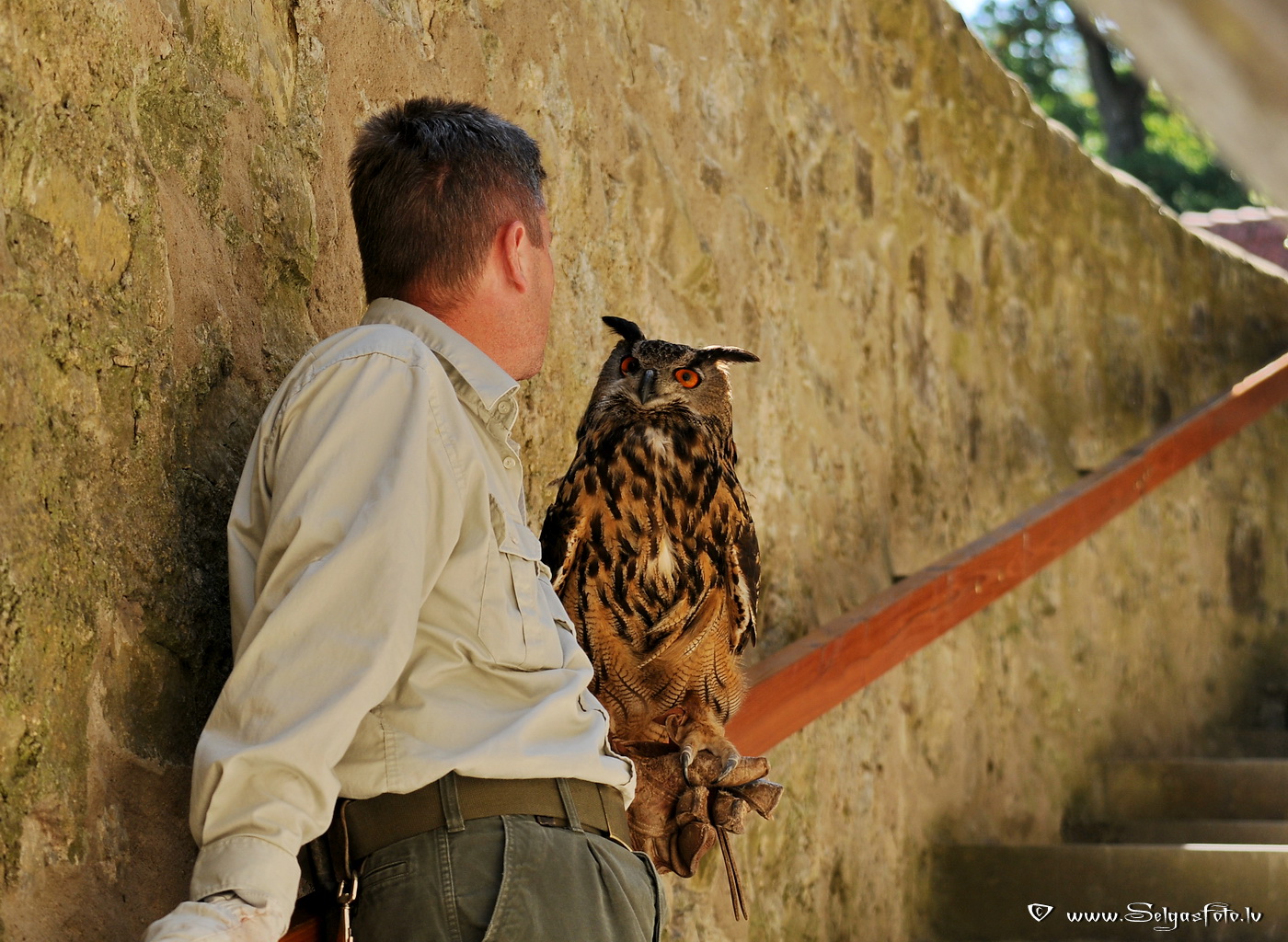 Burg Guttenberg. Deutschland.