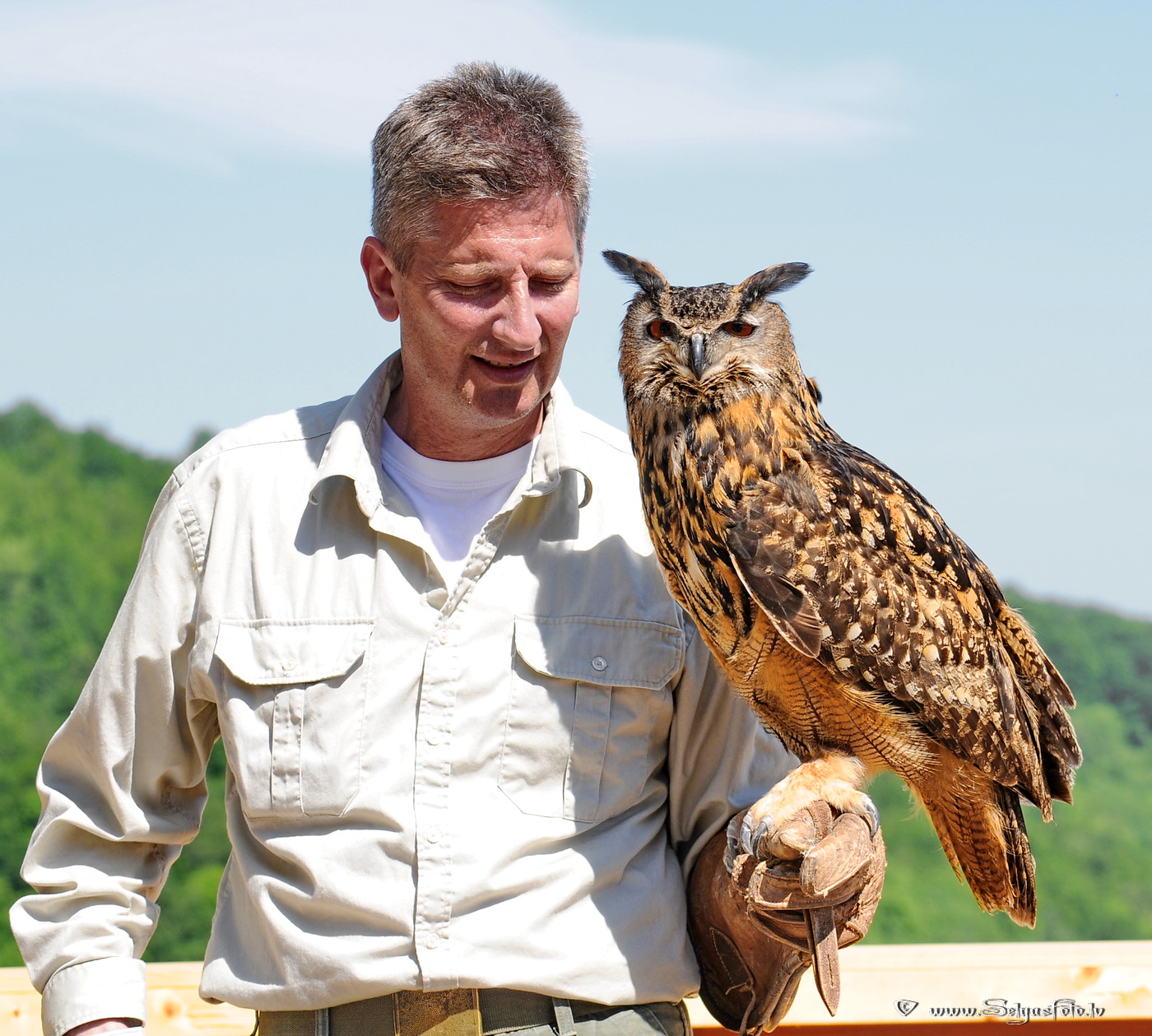 Burg Guttenberg. Deutschland.