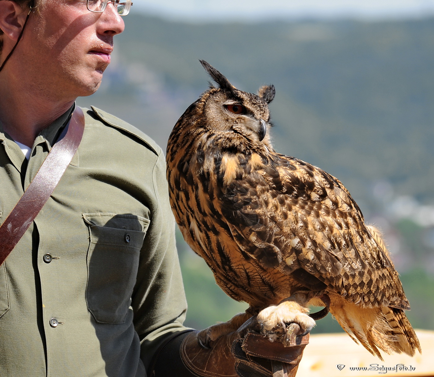 Burg Guttenberg. Deutschland.