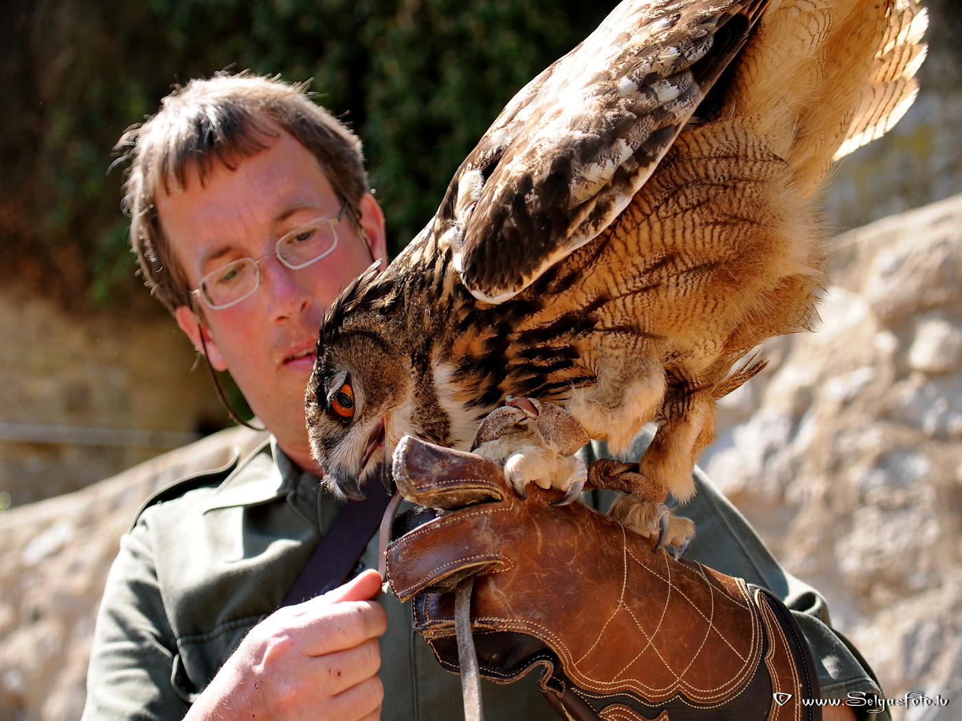 Burg Guttenberg. Deutschland.