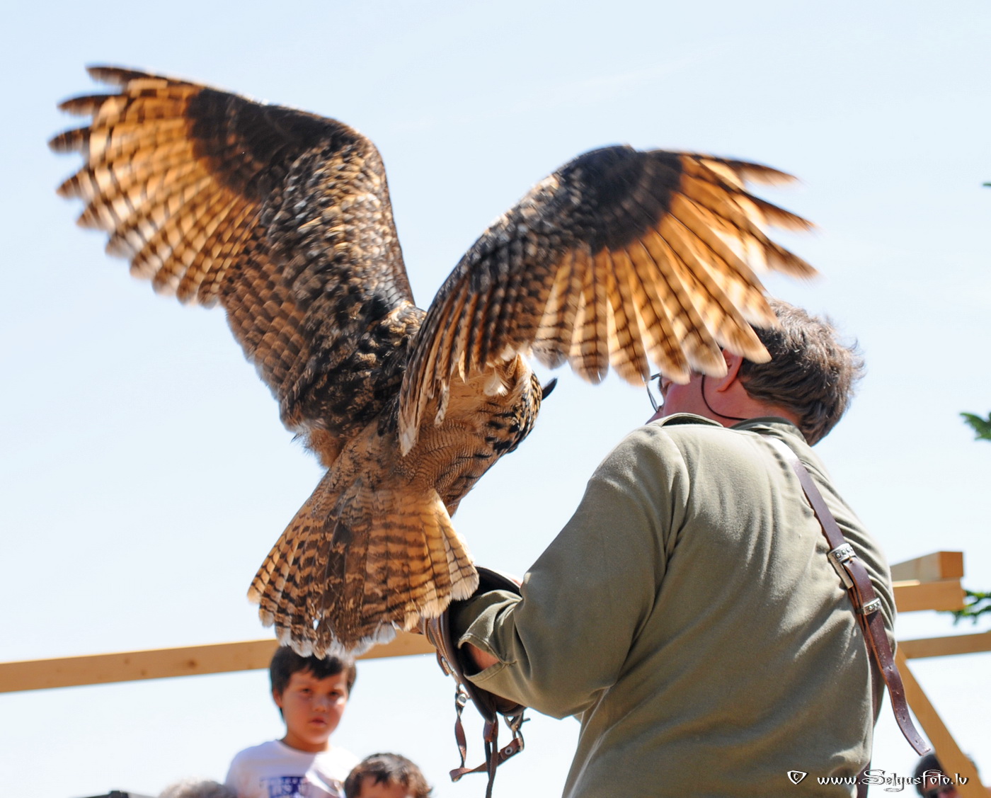 Burg Guttenberg. Deutschland.