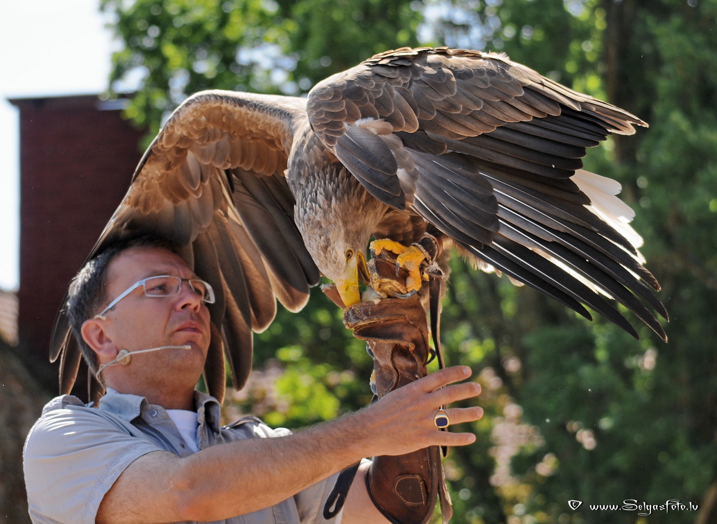 Burg Guttenberg. Deutschland.