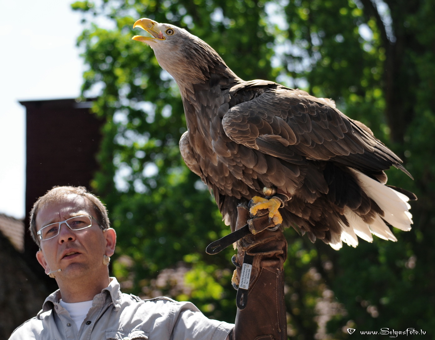 Burg Guttenberg. Deutschland.