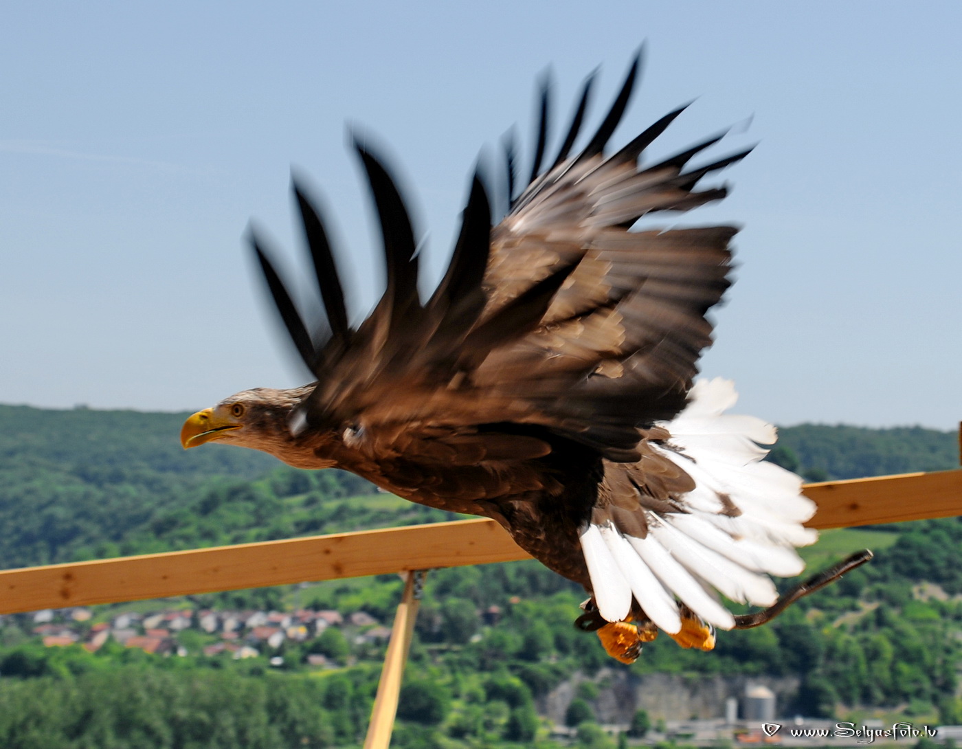 Burg Guttenberg. Deutschland.