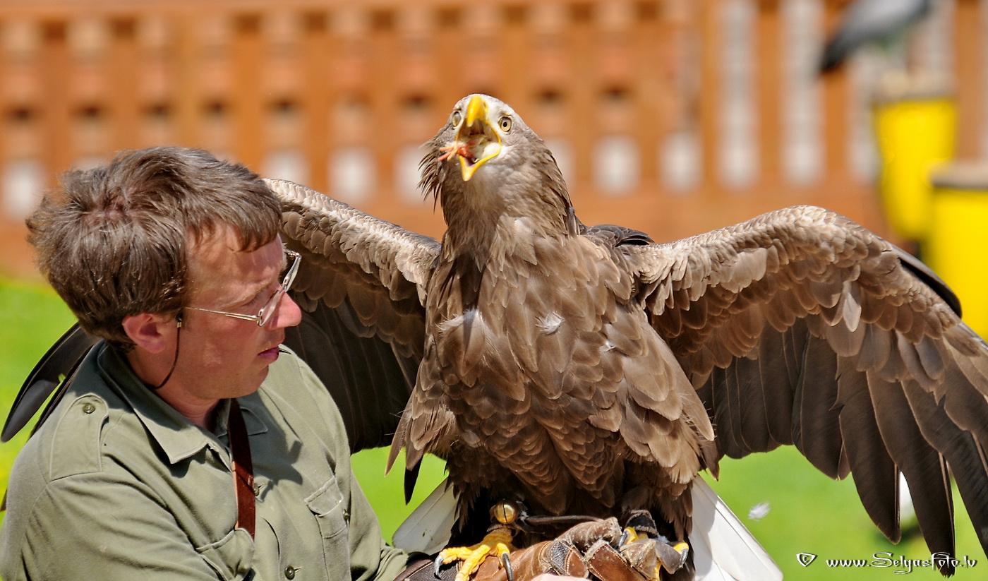 Burg Guttenberg. Deutschland. Burg Guttenberg. Deutschland.