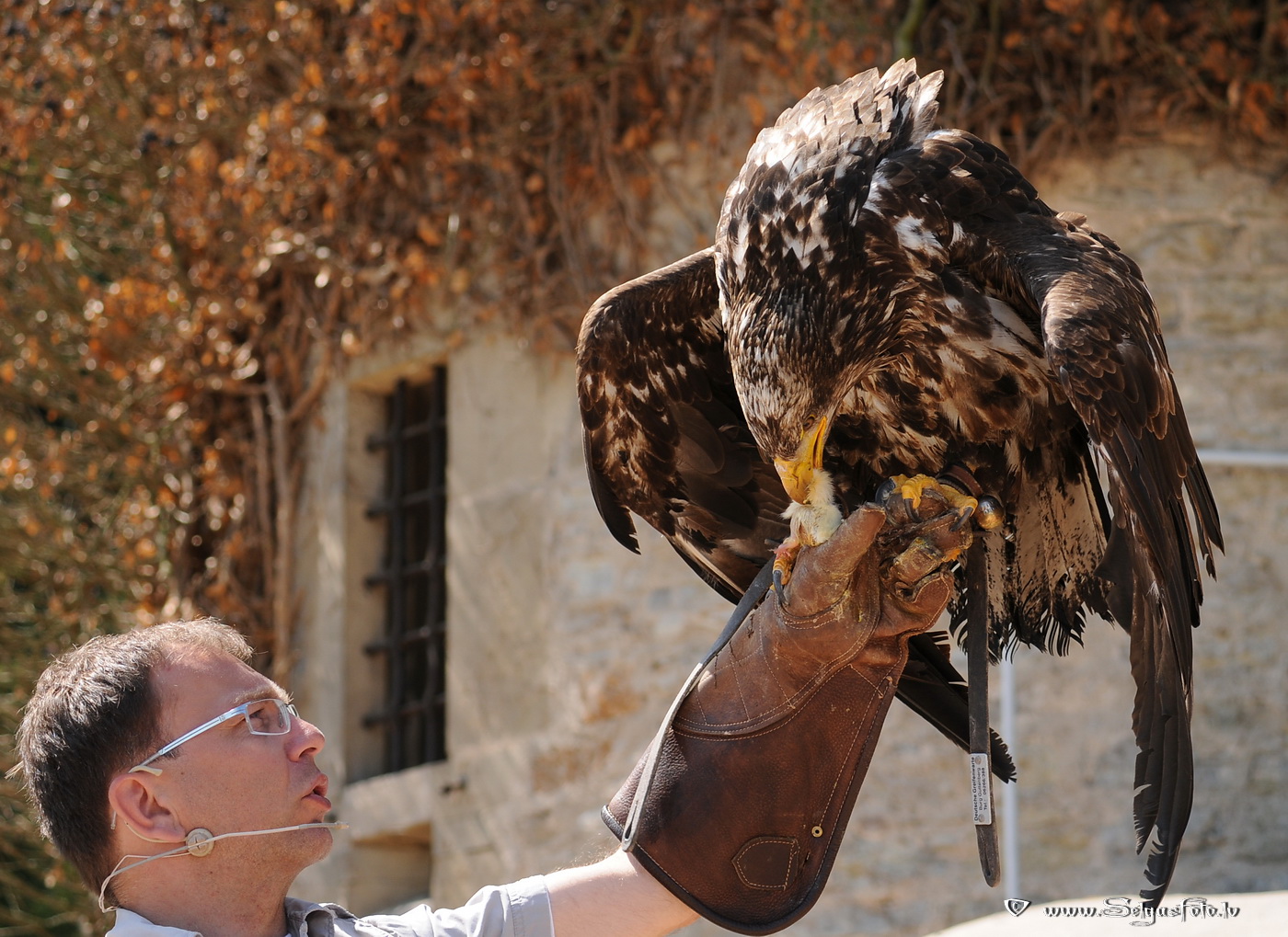 Burg Guttenberg. Deutschland. Burg Guttenberg. Deutschland.
