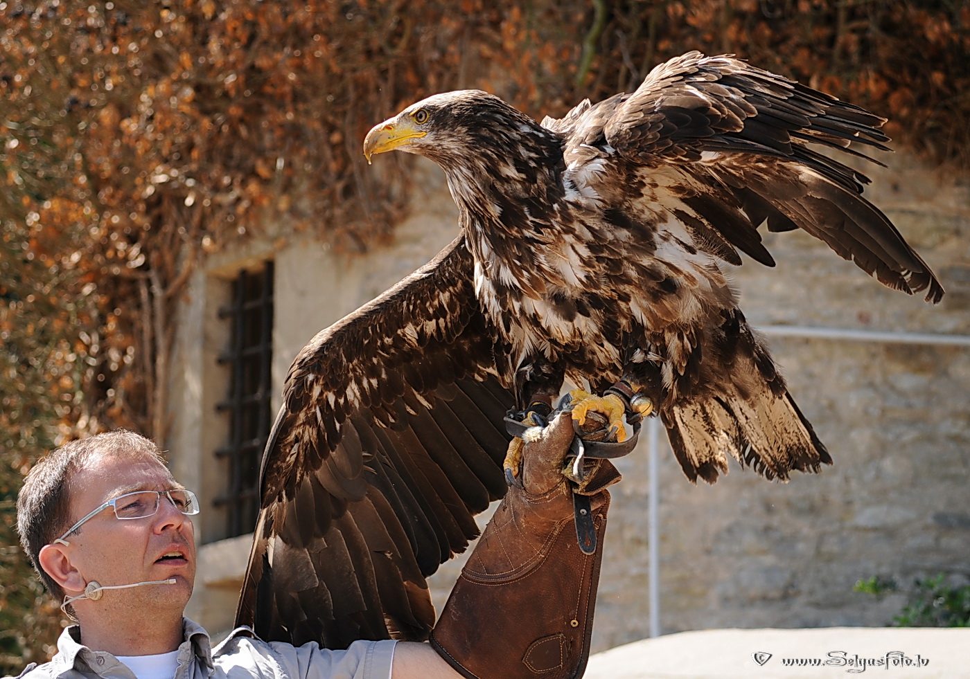 Burg Guttenberg. Deutschland. Burg Guttenberg. Deutschland.