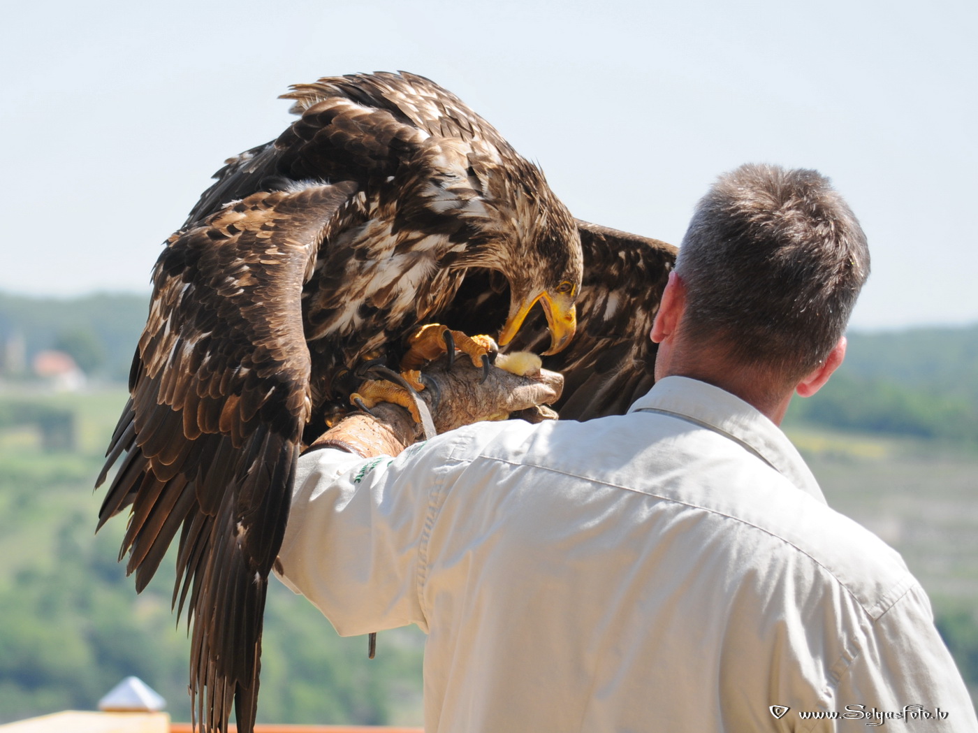 Burg Guttenberg. Deutschland. Burg Guttenberg. Deutschland.