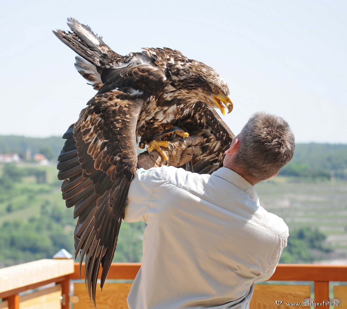 Burg Guttenberg. Deutschland. Burg Guttenberg. Deutschland.