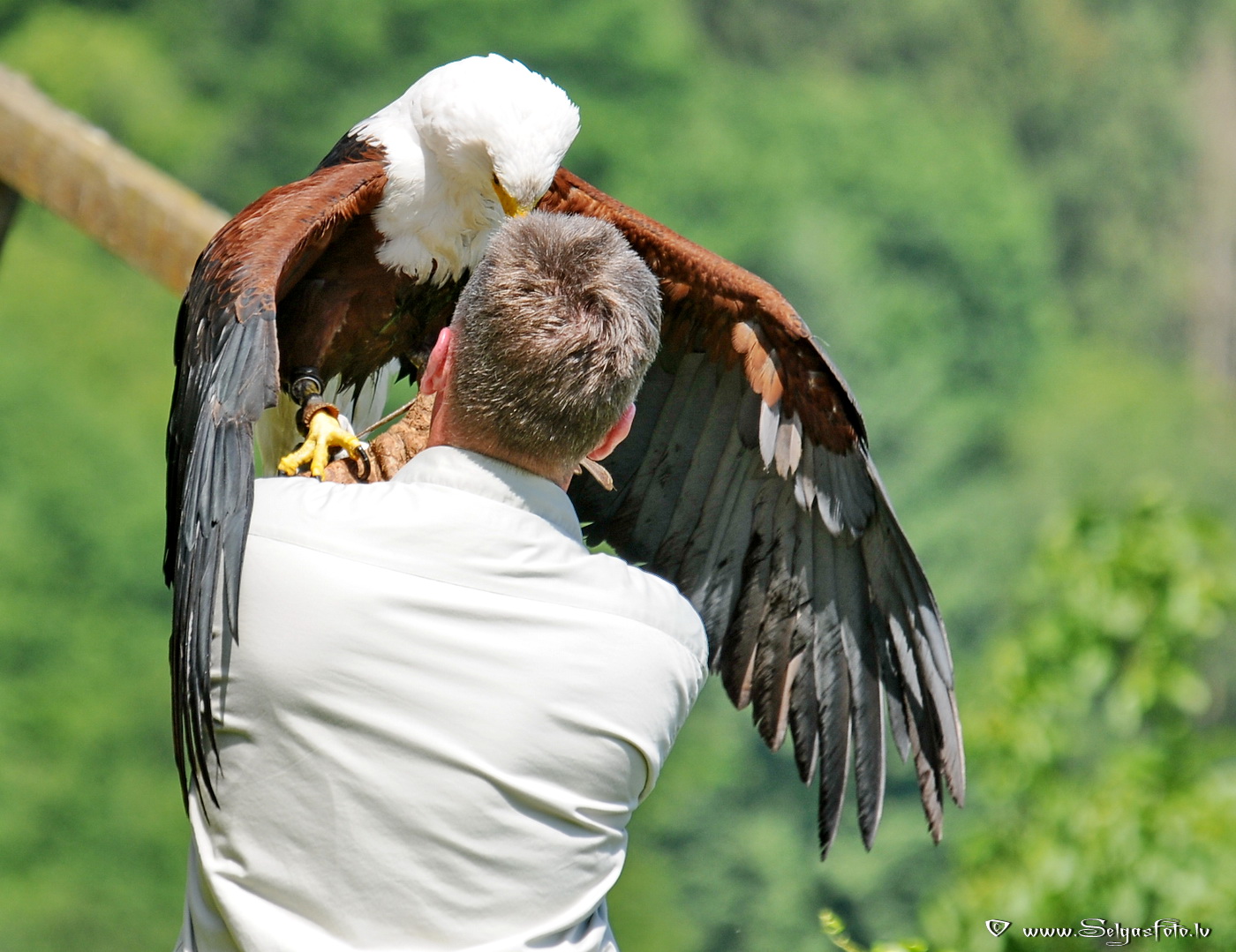 Burg Guttenberg. Deutschland.